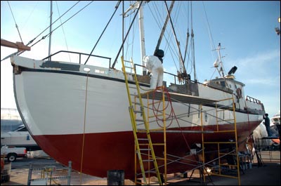 halibut schooner for sale