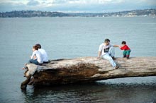 Alki Beach Shore - Seattle